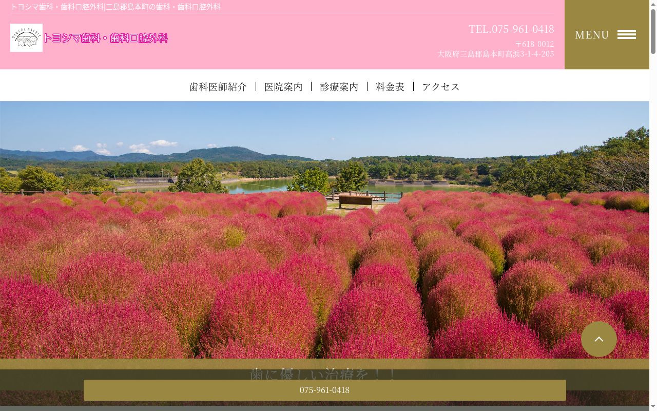 トヨシマ歯科・歯科口腔外科の公式サイトのスクリーンショット