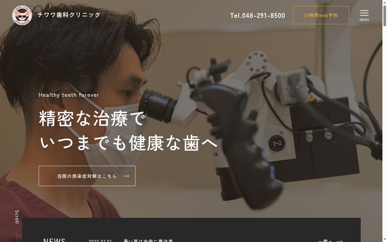 チワワ歯科クリニックの公式サイトのスクリーンショット
