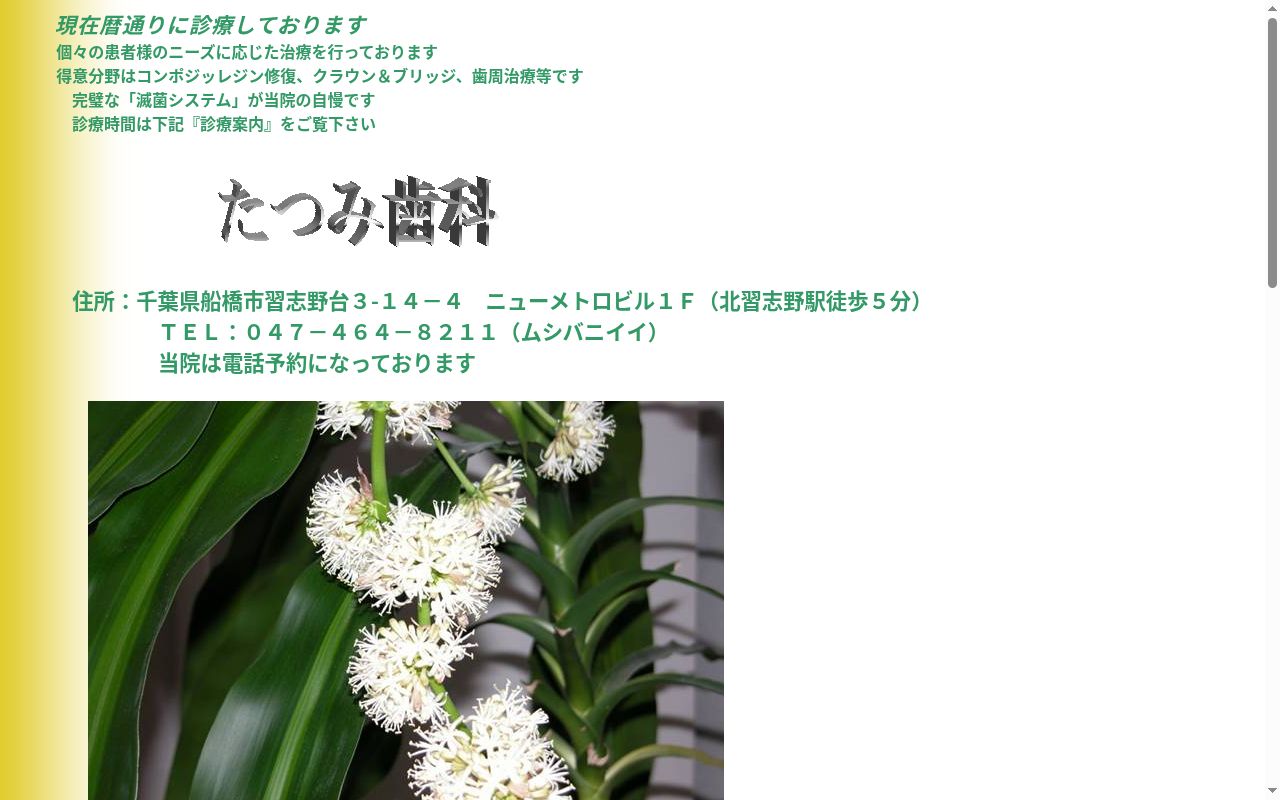 たつみ歯科の公式サイトのスクリーンショット